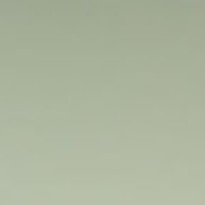 Meet your Posher, Alailagi